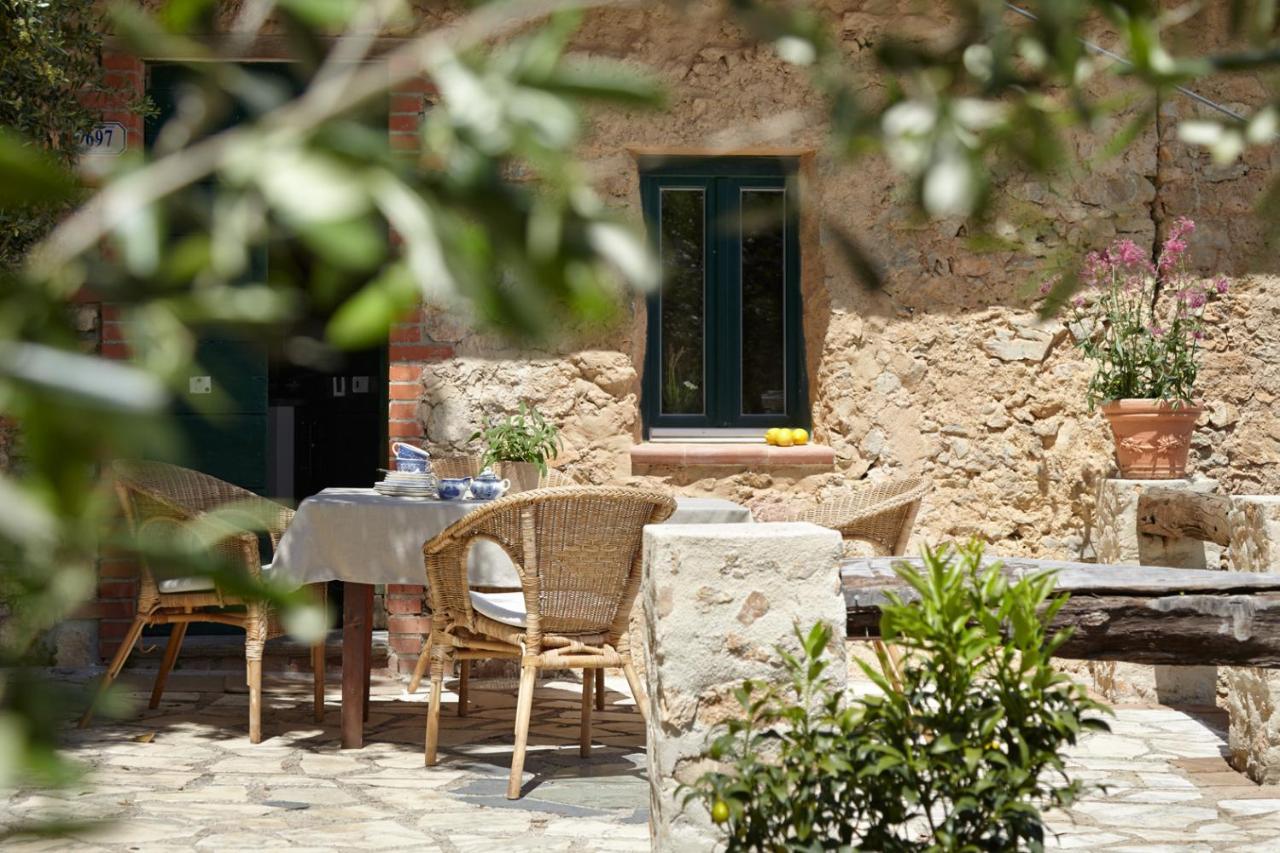 Casa Berti - Urlaub Im Olivenhain 卡麦奥雷 外观 照片